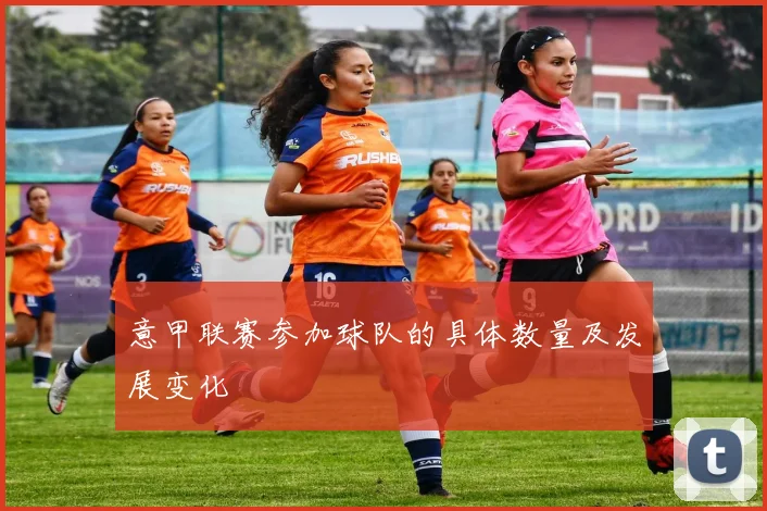 意甲联赛参加球队的具体数量及发展变化