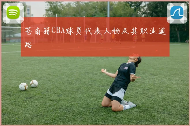 苍南籍CBA球员代表人物及其职业道路