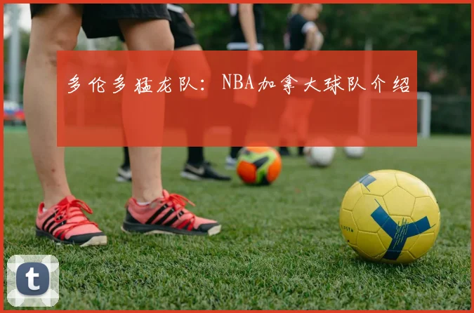 多伦多猛龙队：NBA加拿大球队介绍