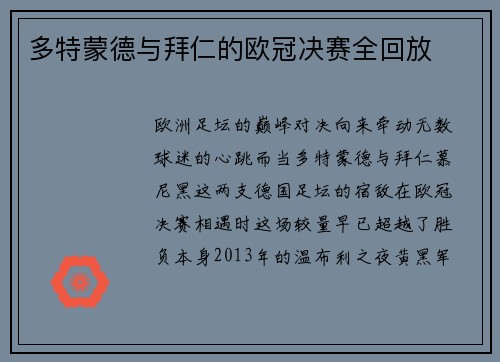 多特蒙德与拜仁的欧冠决赛全回放